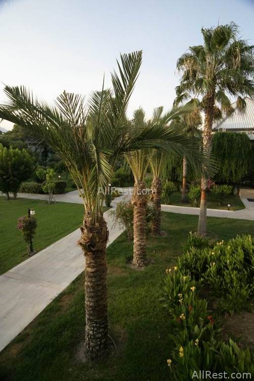 Simena Holiday Resort & SPA 3